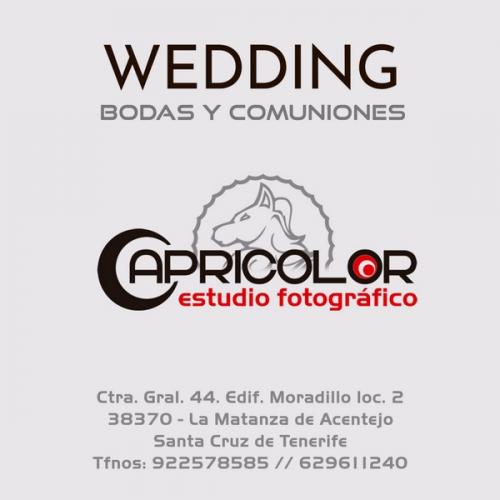 CATÁLOGO-TENCOLOR-WEDDING-BODAS-2020-MAIL-16-800x600-1